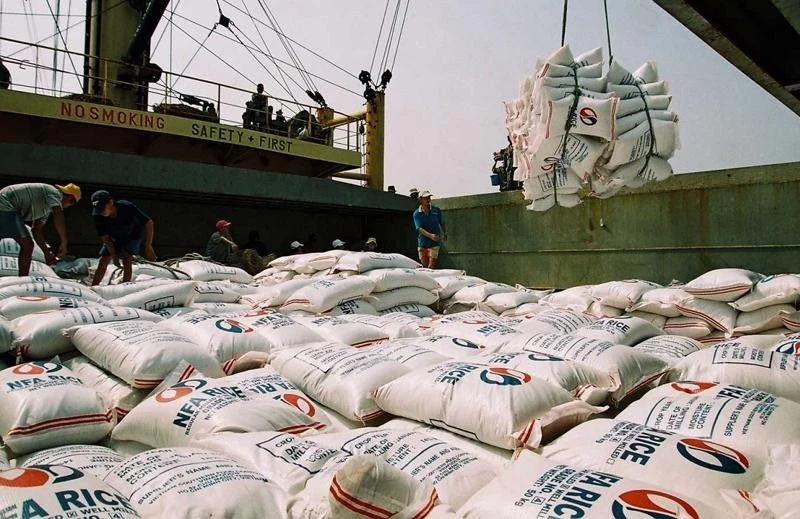 Selon le le conseiller commercial du Vietnam en Malaisie, Le Phu Cuong, la Malaisie importe une quantité importante de riz en raison de conditions de culture défavorables. Photo : VNA