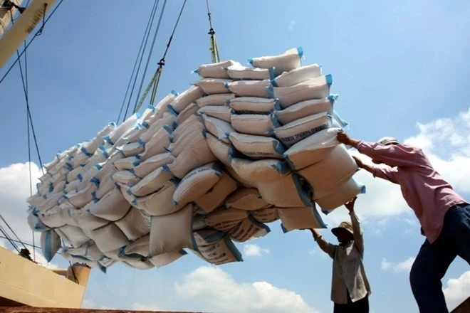 En 2024, le Vietnam dépassera le Japon pour la première fois et deviendra le cinquième exportateur de produits aquacoles vers Singapour. Photo : VNA.