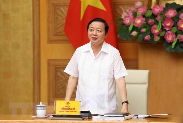 Le Vice-Premier ministre Trân Hông Hà. Photo : VNA.