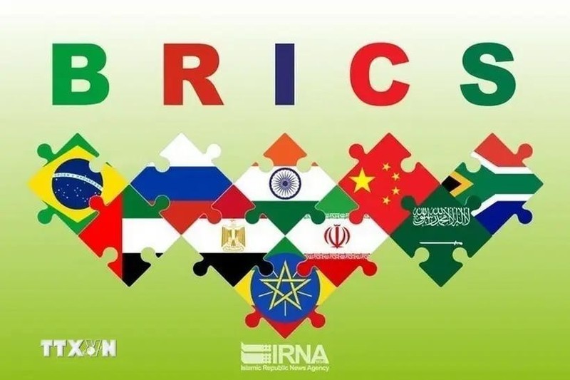 Le Vietnam montre sa responsabilité et son engagement au sommet des BRICS+