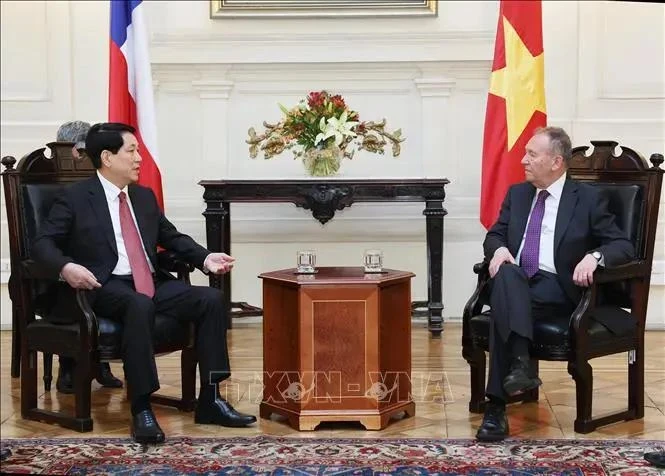 Le président vietnamien Luong Cuong (à gauche) et le président du Sénat chilien José García Ruminot, à Santiago, le 11 novembre. Photo : VNA.