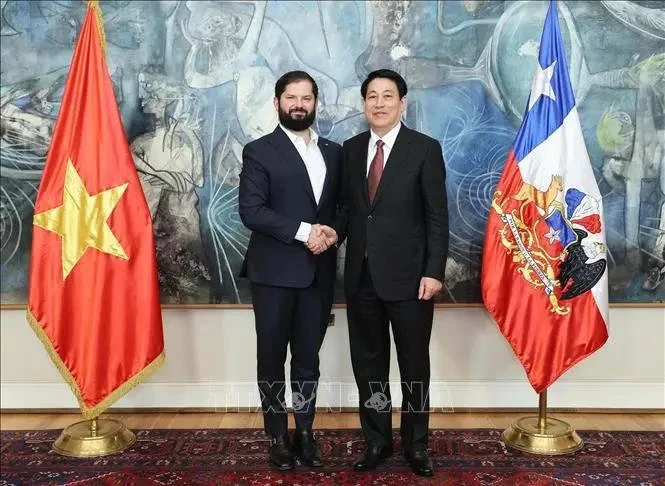 Le président vietnamien Luong Cuong (à droite) et son homologue chilien Gabriel Boric Font avant leur entretien, à Santiago, 11 novembre. Photo : VNA.