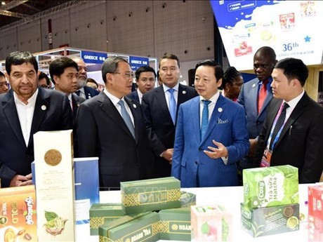 Le Vice-Premier ministre Trân Hông Hà (1er plan, 2e à droite) à la 6e Exposition internationale d’importation de la Chine (CIIE). Photo : VNA.