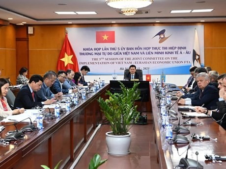 La 5e session du comité mixte sur la mise en œuvre de l’Accord de libre-échange (ALE) entre le Vietnam et l’Union économique eurasiatique (UEEA). Photo : VNA.