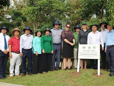 Les représentants du consulat général d'Australie et les autorités de Cân Tho lors d'un événement de plantation d'arbres pour marquer le 50e anniversaire des relations diplomatiques entre le Vietnam et l'Australie. Photo : VNA.