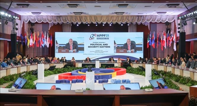 La première séance plénière de l'APPF-31. Photo : VNA.