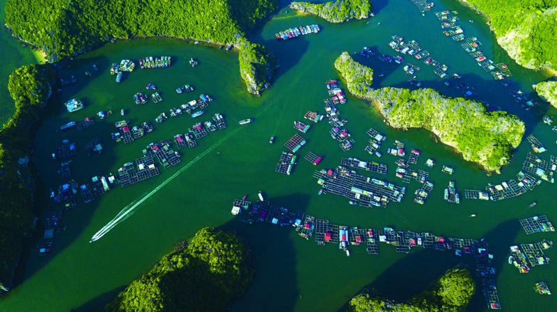 Vue aérienne de la baie de Lan Ha à Hai Phong (au Nord-Est du Vietnam). Photo : VNA.