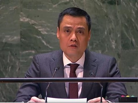 L'ambassadeur Dang Hoàng Giang, chef de la Mission permanente du Vietnam auprès de l’ONU. Photo : VNA.