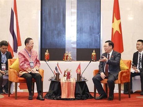 Le Président de l'AN vietnamienne, Vuong Dinh Huê (à droite), et le président de la Chambre de Commerce thaïlandaise (TTC), Sanan Angubokuk. Photo : VNA.
