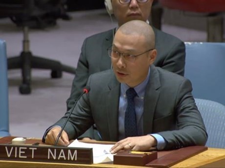 Le chef adjoint de la Mission permanente du Vietnam auprès de l’ONU, Nguyên Hoàng Nguyên. Photo : VNA.