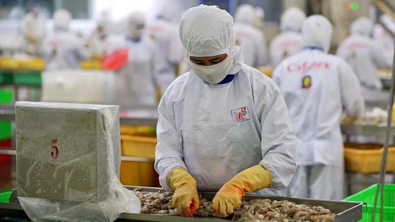 La transformation des produits aquatiques pour l'exportation dans la compagnie Cafatex de la province de Hâu Giang (au Sud). Photo : Trân Quôc/NDEL.