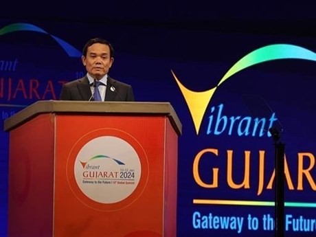 Le Vice-PM vietnamien, Trân Luu Quang, s'exprime lors du Sommet mondial dynamique du Gujarat 2024. Photo : VNA.