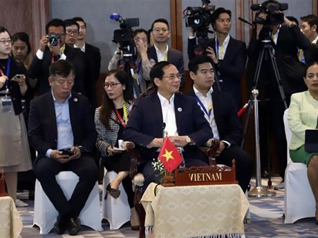 Le ministre vietnamien des Affaires étrangères Bùi Thanh Son, lors de la réunion. Photo : VNA.