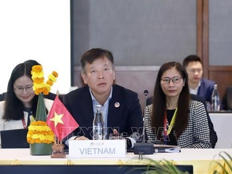 L’ambassadeur Vu Hô, chef par intérim de la délégation vietnamienne de la Réunion des hauts officiels (SOM) de l’ASEAN. Photo : VNA.