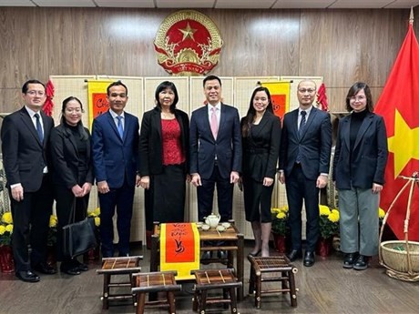 L'ambassadeur vietnamien Dang Hoang Giang (4e, à droite) et l'ambassadrice du Cambodge Sophea Eat (4e, à gauche). Photo : VNA.