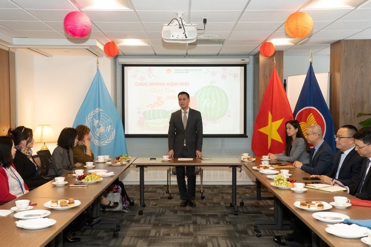 Le représentant en chef du Vietnam auprès de l’ONU, Dang Hoàng Giang (debout), lors de la rencontre. Photo : VOV.