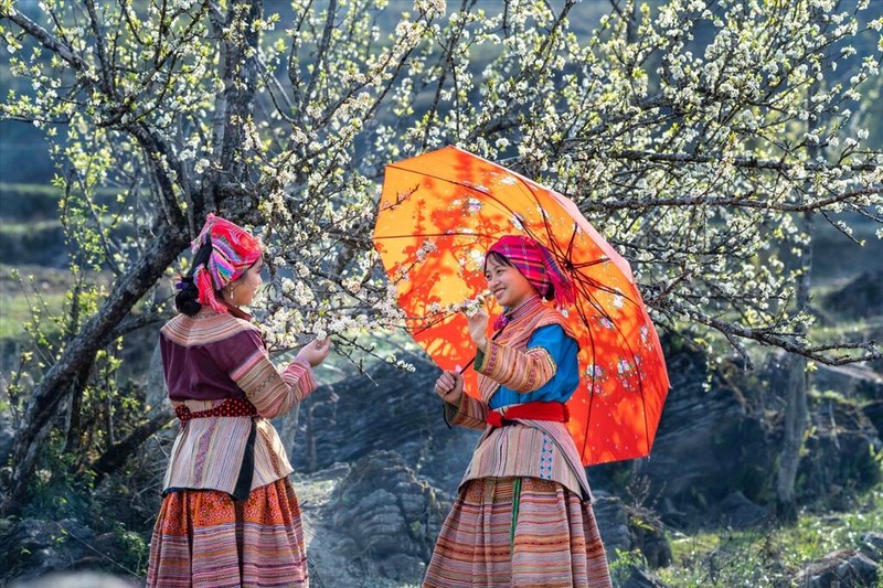 À l'occasion du Têt, les Mông préparent les costumes les plus récents et les plus beaux dans le souhait que la propreté et la beauté apportent de la chance et de bonnes choses. Photo : VNA.