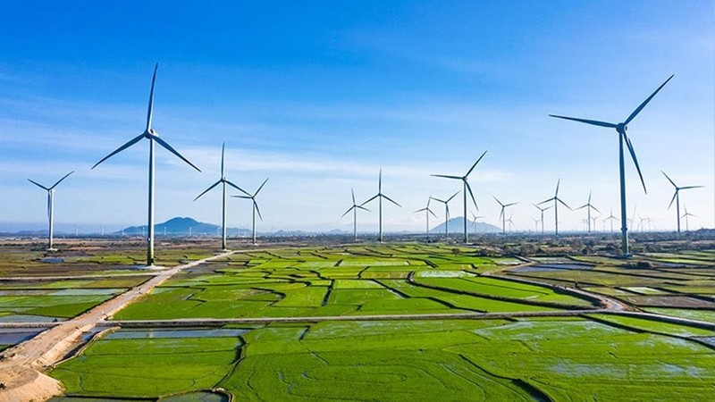 Le Vietnam a rapidement identifié la croissance verte comme l’une des stratégies clés pour parvenir à un développement rapide et durable. Photo : thanhnien.vn.