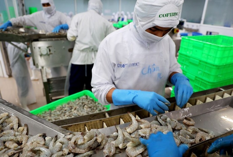 Transformation de crevettes pour l'exportation. Photo: VNA.