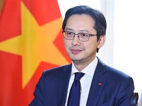 Le vice-ministre vietnamien des AE, Dô Hùng Viêt. Photo : VNA.