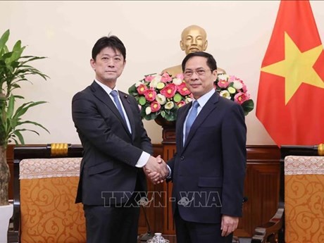 Le ministre vietnamien des Affaires étrangères Bui Thanh Son (à droite) serre la main du membre de la Chambre des Représentants et vice-ministre des Affaires étrangères du Japon, Komura Masahiro, à Hanoi, le 12 mars. Photo : VNA.