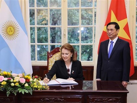 Le ministre vietnamien des Affaires étrangères, Bùi Thanh Son (à droite), et la ministre argentine des Affaires étrangères, du Commerce international et du Culte, Diana Elena Mondino. Photo : VNA.