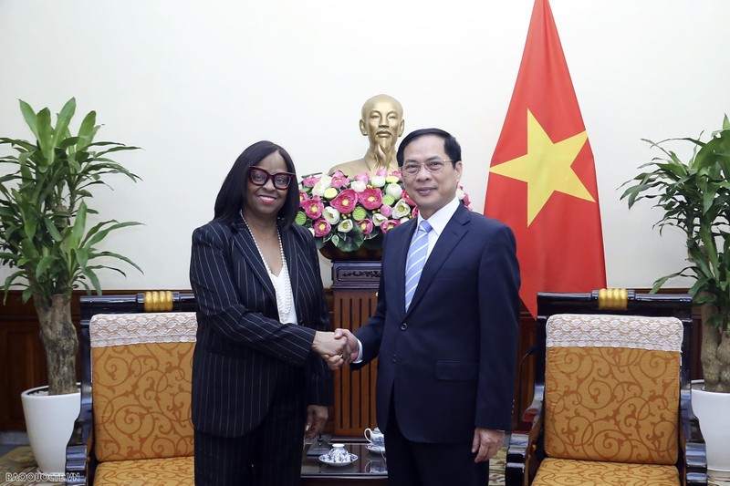 Le ministre vietnamien des Affaires étrangères, Bui Thanh Son (à droite), et la présidente et directrice générale de la Banque américaine d'import-export (US Eximbank), Reta Jo Lewis, le 19 mars à Hanoi. Photo: baoquocte.vn.