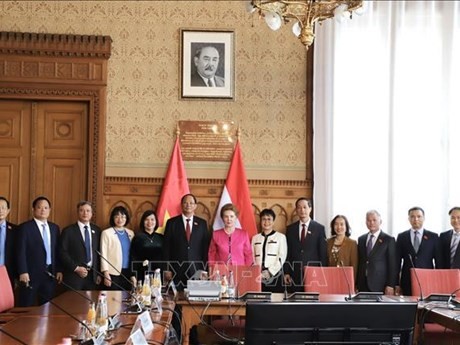 La délégation de l'AN vietnamienne lors de l'entretien avec la Vice-Présidente permanente de l'AN hongroise, Mátrai Márta. Photo : VNA.