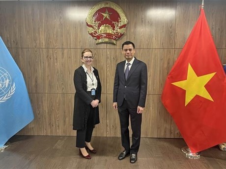 L'ambassadeur Dang Hoàng Giang, chef de la Mission permanente du Vietnam auprès des Nations Unies (à droite), et la directrice de l'UNRWA, Greta Gunnarsdottir. Photo : VNA.