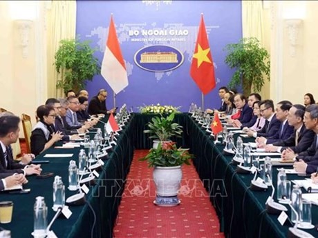 Vue générale de la 5e réunion du Comité mixte de coopération bilatérale Vietnam - Indonésie, à Hanoi, le 24 avril. Photo: VNA