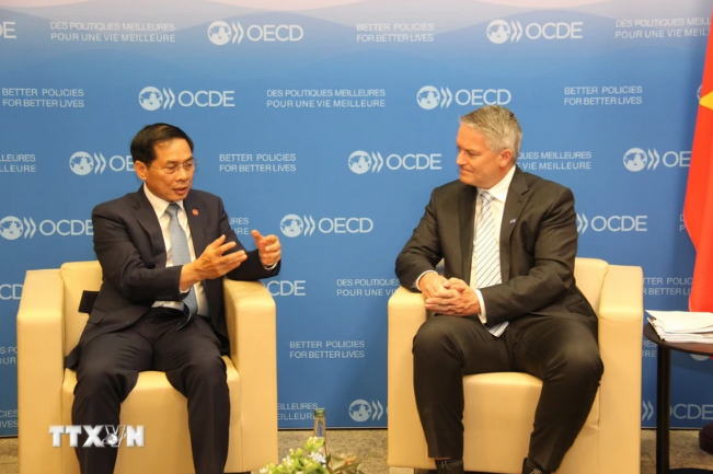 Le ministre ministre vietnamien des Affaires étrangères Bui Thanh Son (à gauche) et le secrétaire général de l’OCDE, Mathias Cormann. Photo : VNA.