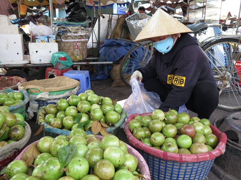 La pomme étoilée de Soc Trang est recherchée par de nombreux marchés internationaux. Photo: CVN.