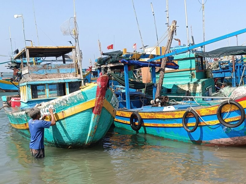 Flottille de bateaux de pêche à Bà Ria-Vung Tàu. Photo: VNA.