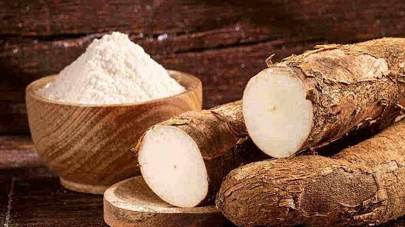 Le manioc joue un rôle clé dans l'exportation des produits agricoles du Vietnam. Photo: congthuong.vn.