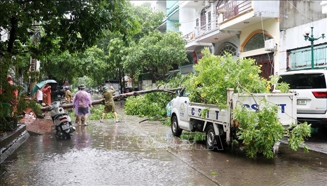 Les forces compétentes commencent à nettoyer les dégâts dans la ville de Ha Long après le passage du typhon Prapiroon. Photo : VNA.