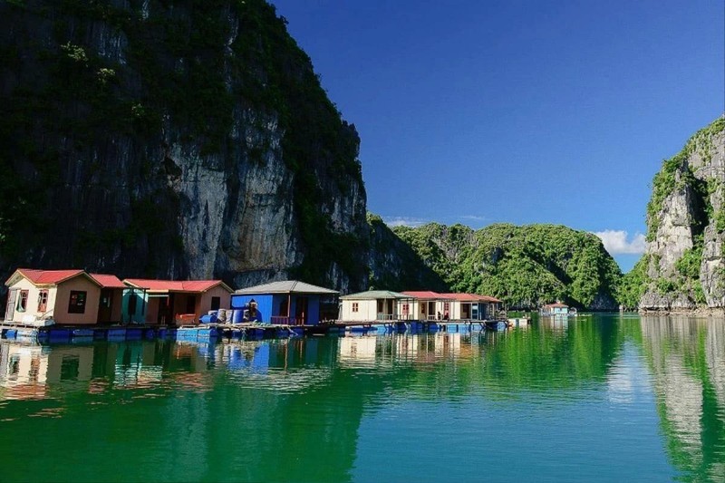 La période idéale pour visiter le village de pêcheurs de Vung Vieng va d'avril à juin. Photo : Saostar.