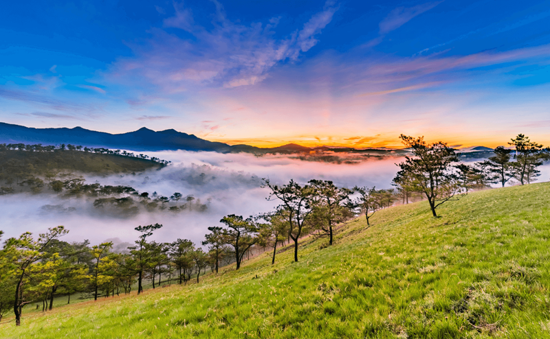 La beauté poétique et romantique de Da Lat. Photo : Vietjetair. 