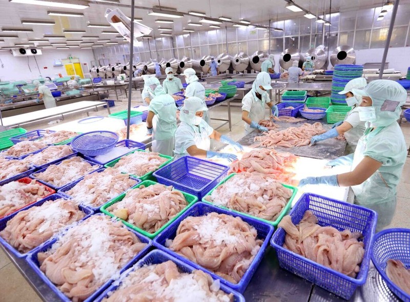 Transformation de pangasius pour l'exportation. Photo: VNA.