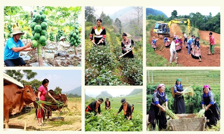 Les programmes et projets de World Vision Vietnam ont contribué à améliorer les conditions de vie des ménages pauvres et des personnes en situation difficile, en particulier celles des enfants.