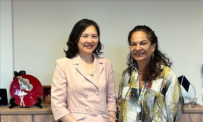 L'ambassadrice Nguyên Thi Vân Anh, cheffe de la Mission permanente du Vietnam auprès de l'UNESCO, et Lidia Arthur Brito, sous-directrice générale pour les sciences exactes et naturelles de l'UNESCO. Photo : VNA.