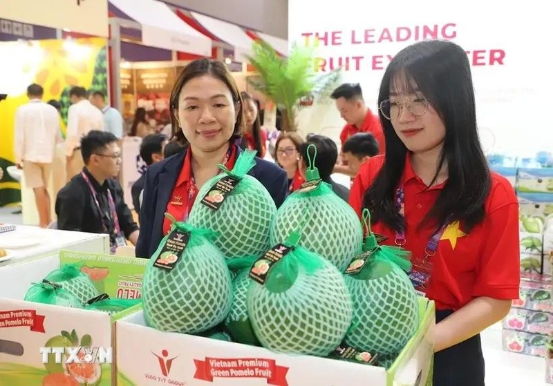 Le pamplemousse à peau verte du Vietnam présenté au salon. Photo : VNA.