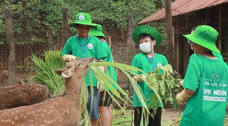 Les élèves sont enthousiastes en visitant le parc avec notamment la rencontre avec le monde d'animaux. Photo : VNA.