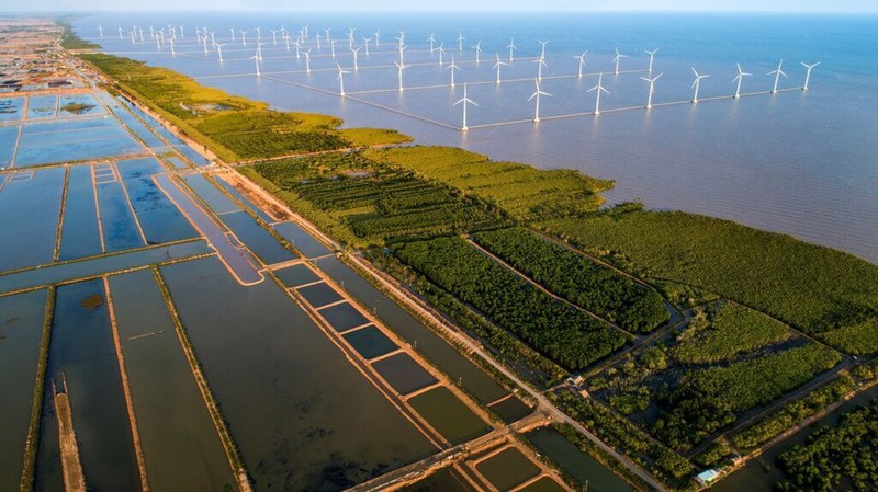 En Asie du Sud-Est, le Vietnam est l’un des premiers pays à avoir choisi la voie de la croissance verte. Photo : tainguyenmoitruong