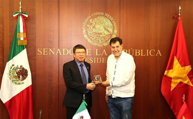 Le président du Sénat mexicain Gerardo Fernández Noroña (à droite) offre un cadeau de souvenir au nouvel ambassadeur Nguyên Van Hai. Photo : VNA.