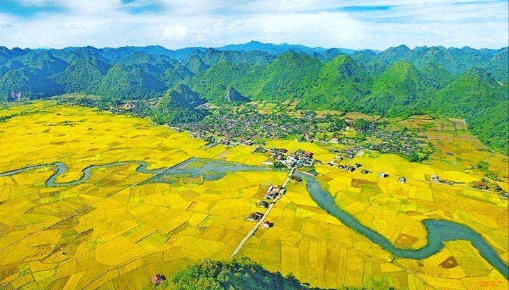 La vallée de Bac Son séduit les touristes par ses somptueux paysages, sublimés à la saison du riz mûr. Photo: VOV.