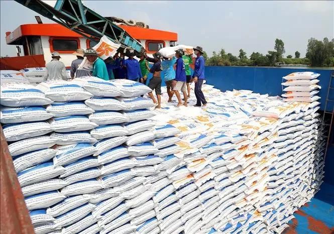 Le riz, un des quatre produits générant des recettes supérieures à 10 milliards de dollars. Photo : VNA.