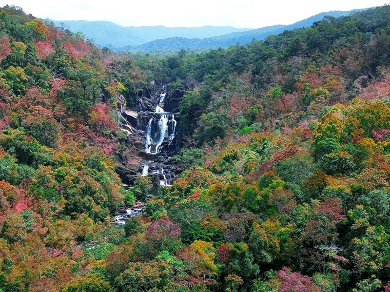 La cascade Eatul (également connue sous le nom de Ia Tul) est cachée au milieu d'une vieille forêt du district de Ia Pa, province de Gia Lai. Photo : Dinh Cong Luong. 