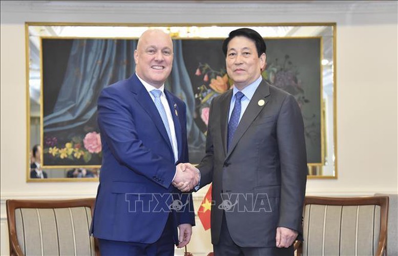 Le président Luong Cuong (droite) et le Premier ministre néo-zélandais. Photo : VNA.