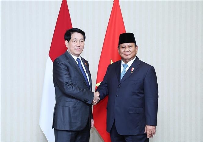 Le président Luong Cuong (gauche) et son homologue indonésien, Prabowo Subianto. Photo : VNA.