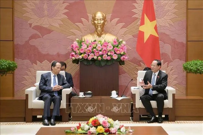 Le vice-président de l'Assemblée nationale (AN) Tran Quang Phuong (droite) et Ji Bingxuan, vice-président du Comité permanent de l'Assemblée populaire nationale de Chine. Photo : VNA.